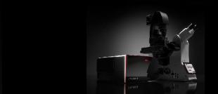 Leica STELLARIS Leica STELLARIS